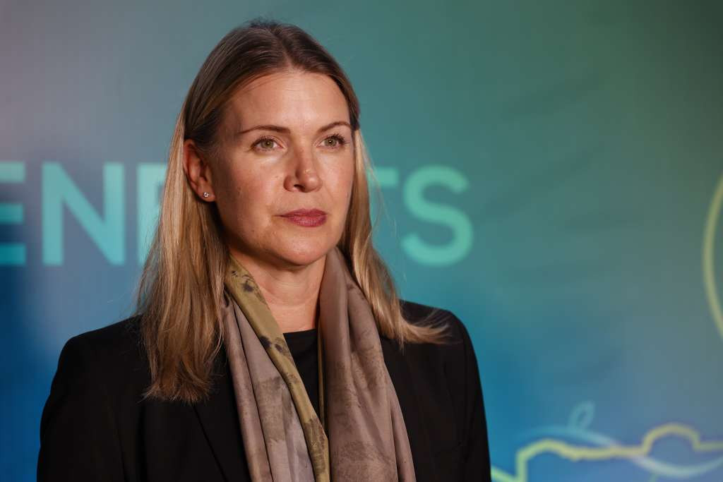 Strömquist: Većina od 14 ključnih prioriteta koje je postavila EU mogu biti ispunjeni brzo