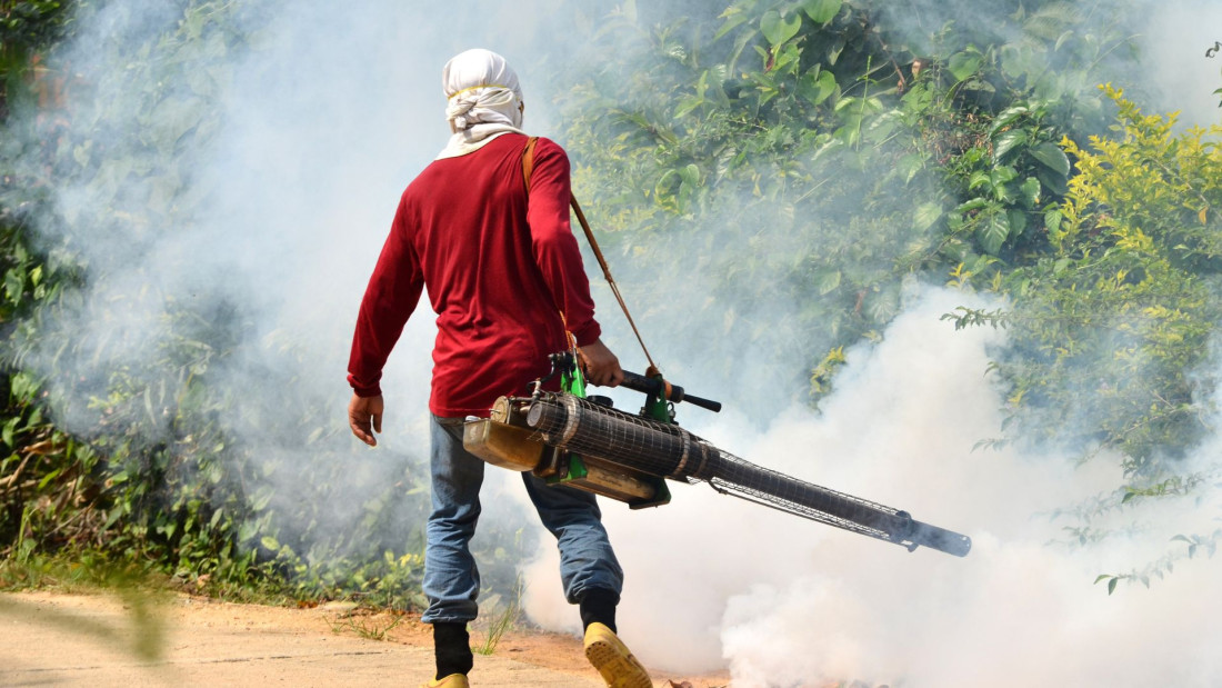 Stopa smrtnosti od denga groznice u Bangladešu dostigla najviši nivo u posljednjih pet godina