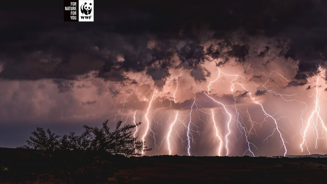 WWF: Ekstremne klimatske nepogode upozorenje prirode