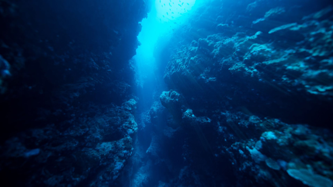 Ugrožena budućnost koraljnih grebena na Zanzibaru