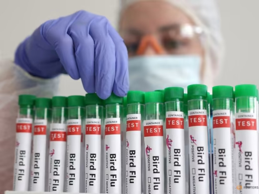 U Brazilu proglašena vanredna situacija za zdravlje životinja