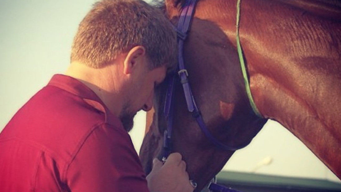 Iz češke štale ukraden trkaći konj Ramzana Kadirova