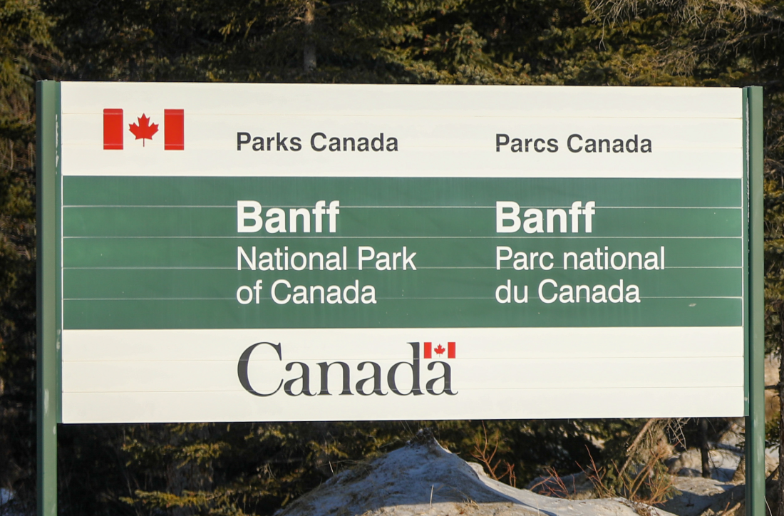 Par smrtno stradao u napadu medvjeda u Kanadi