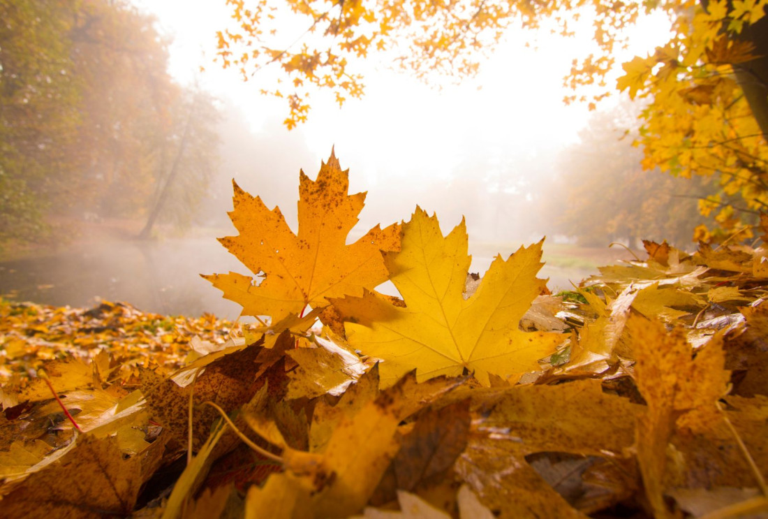 Najtopliji oktobar od početka mjerenja, natprosječne temperature i u novembru