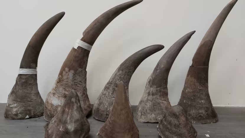 Krijumčar rogova nosoroga u Tanzaniji osuđen na 20 godina zatvora