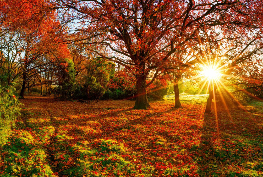 Do kraja mjeseca i početkom oktobra stabilno i djelimično sunčano vrijeme