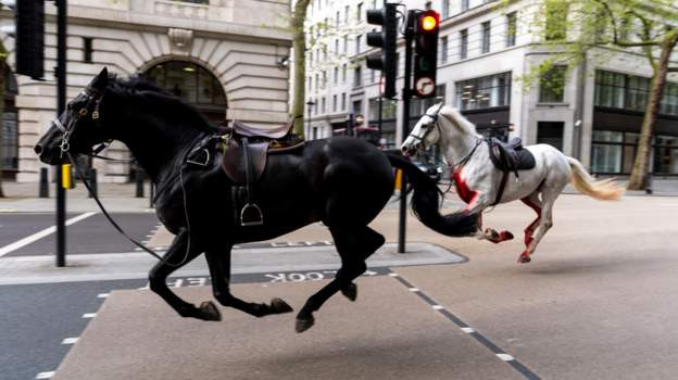 Odbjegli vojni konji pravili incidente po centru Londona