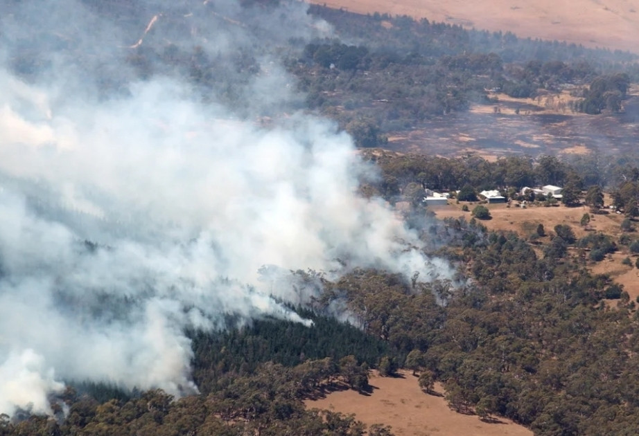 Toplotni udar u Australiji