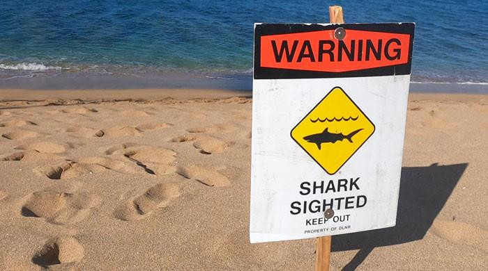 Na Havajima preminuo surfer kojeg je povrijedila ajkula