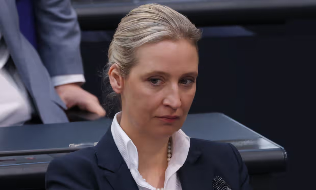 "Lider AfD-a je 'vuk u ovčjoj koži'"
