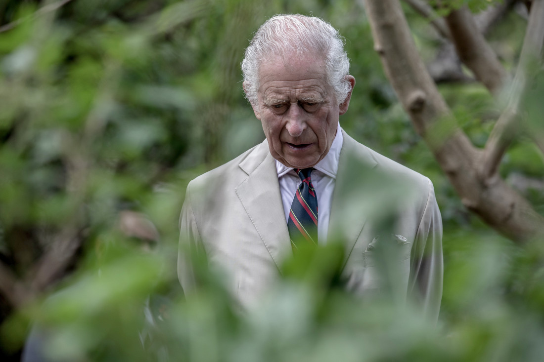 Britanski kralj Charles primljen u bolnicu