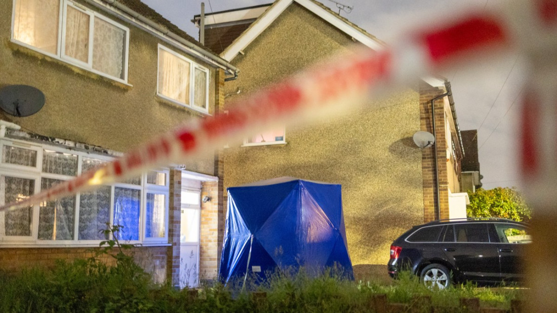 Psi usmrtili vlasnicu u Londonu