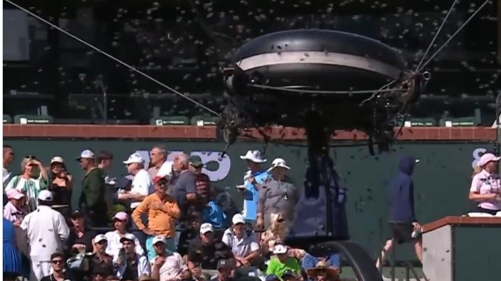 Stotine pčela na teniskom terenu: Alcaraza jedna ubola u čelo