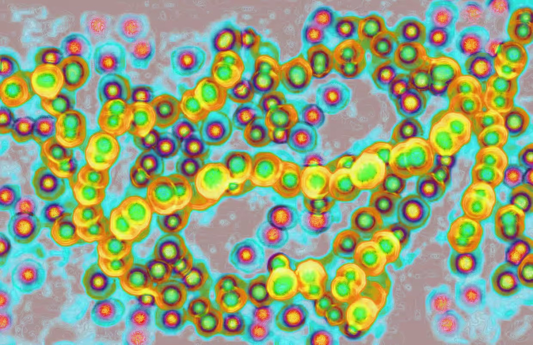 Misterija u Japanu: opasne streptokokne infekcije penju se do rekordnih nivoa