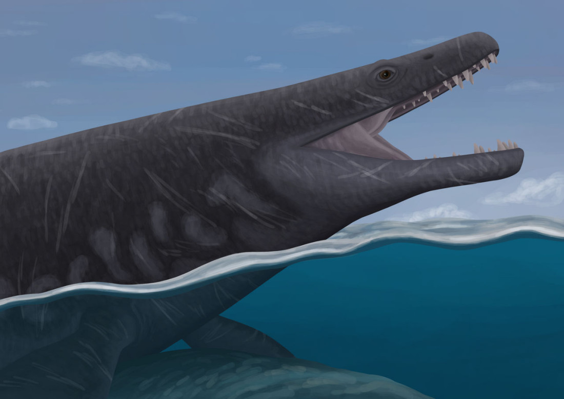 Naučnici otkrili vrstu divovskog morskog guštera koji je živio u doba dinosaurusa