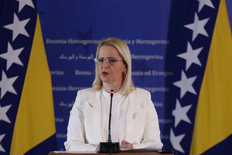 IDDEEA: Navodi Novaković Bursać su ne samo pogrešni, već i štetni po javni interes