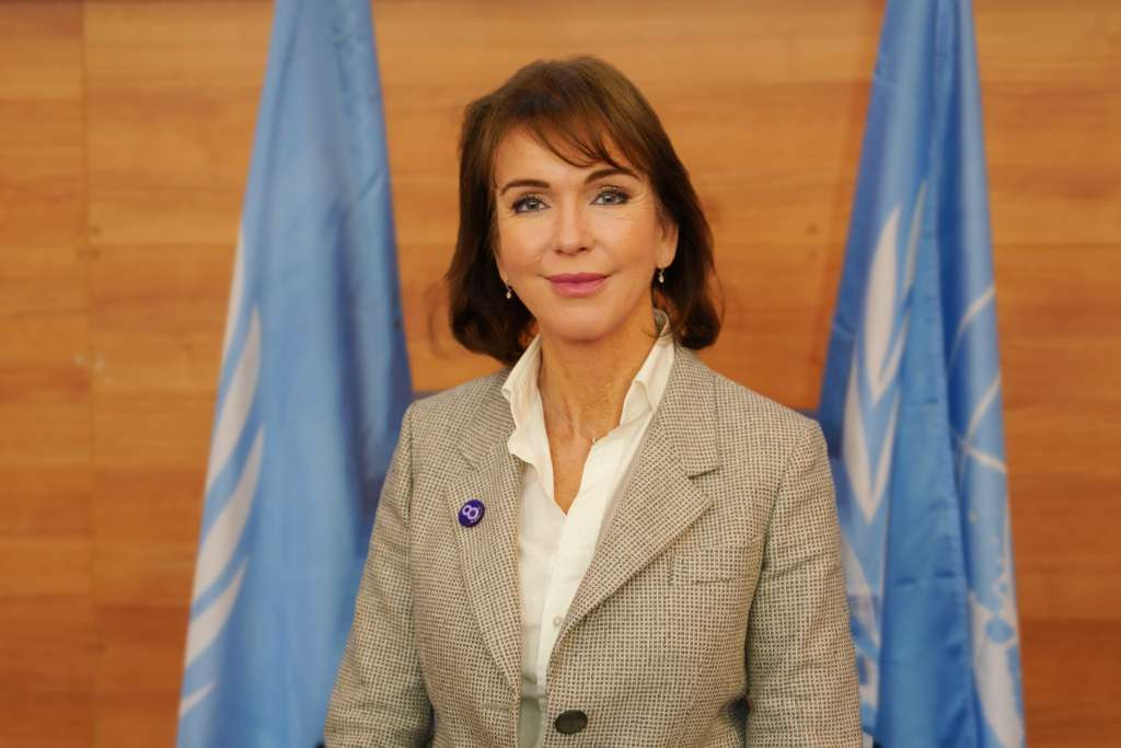 Spence: Reformska agenda Bosne i Hercegovine - Prekretnica ka održivom razvoju