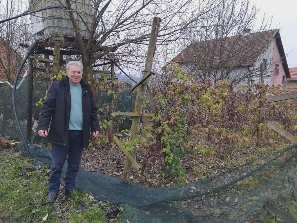 Stojanović: Znatno smanjena proizvodnja maline na području Srebrenice, Bratunca i Milića