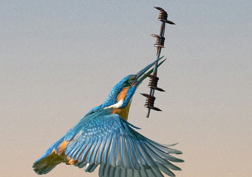 Diplomatija se povlači, oružje preuzima primat: Opasna nova dinamika svjetskog poretka