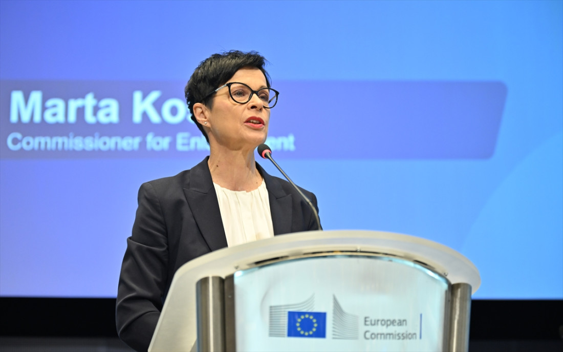 Kos: Nema prečica za članstvo, EU mora da brani demokratiju i u zemljama kandidatima