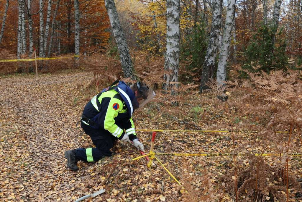 Na lokalitetu Zebina šuma u Općini Foča u FBiH u toku deminiranje – pronađen veliki broj mina