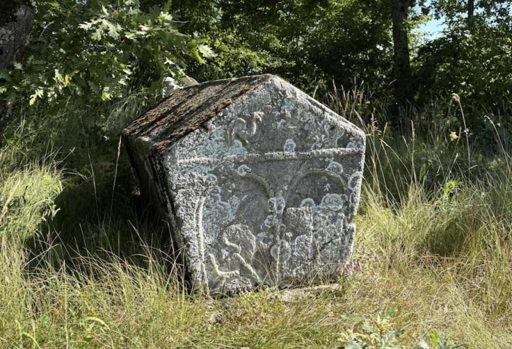 Mladi iz tri zemlje mapirali više od 250 lokaliteta stećaka