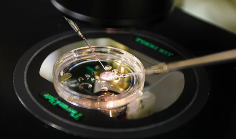 Revolucionarno otkriće: Naučnici stvorili ljudske embrione iz ćelija kože