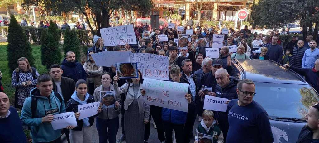 Dječak kojeg je napao pas lutalica pod nadzorom ljekara, protesti građana pred Gradskom upravom