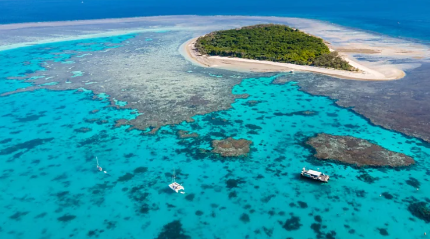 Tragedija na Velikom koraljnom grebenu: Kruzer otplovio bez putnice, tijelo pronađeno na ostrvu