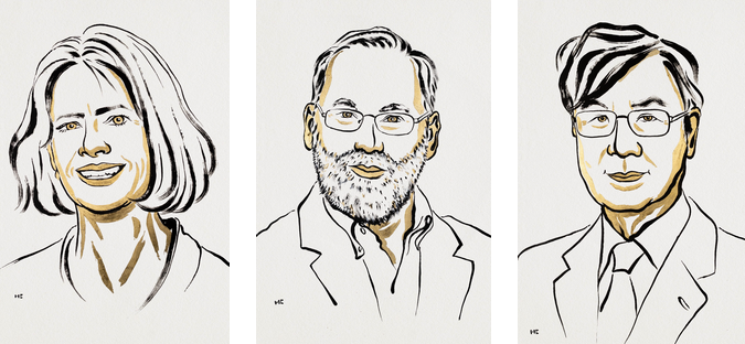 Revolucionarno otkriće u imunologiji: Brunkow, Ramsdell i Sakaguchi dobitnici Nobelove nagrade