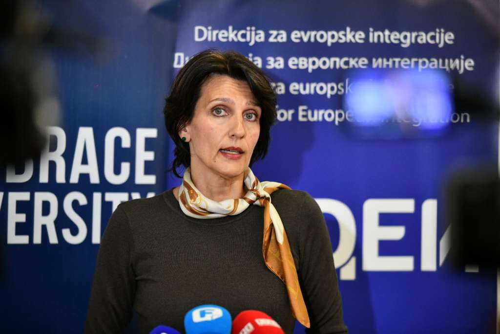 Habota: BiH rizikuje gubitak miliona iz EU fondova zbog kašnjenja s reformama