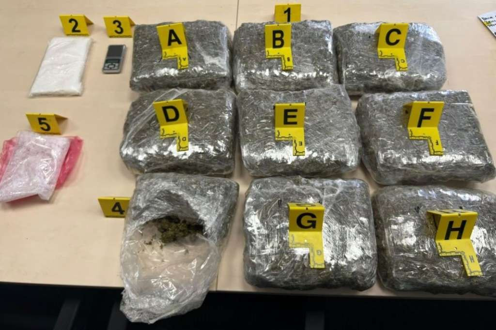 Policija u Zenici zaplijenila više od 10 kilograma opojne droge