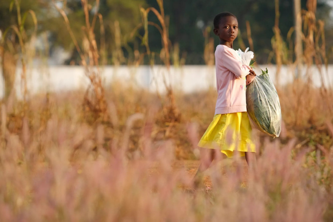 U Gani spašeno 305 građana iz Zapadne Afrike, od kojih 113 djece, u operaciji protiv trgovine ljudima