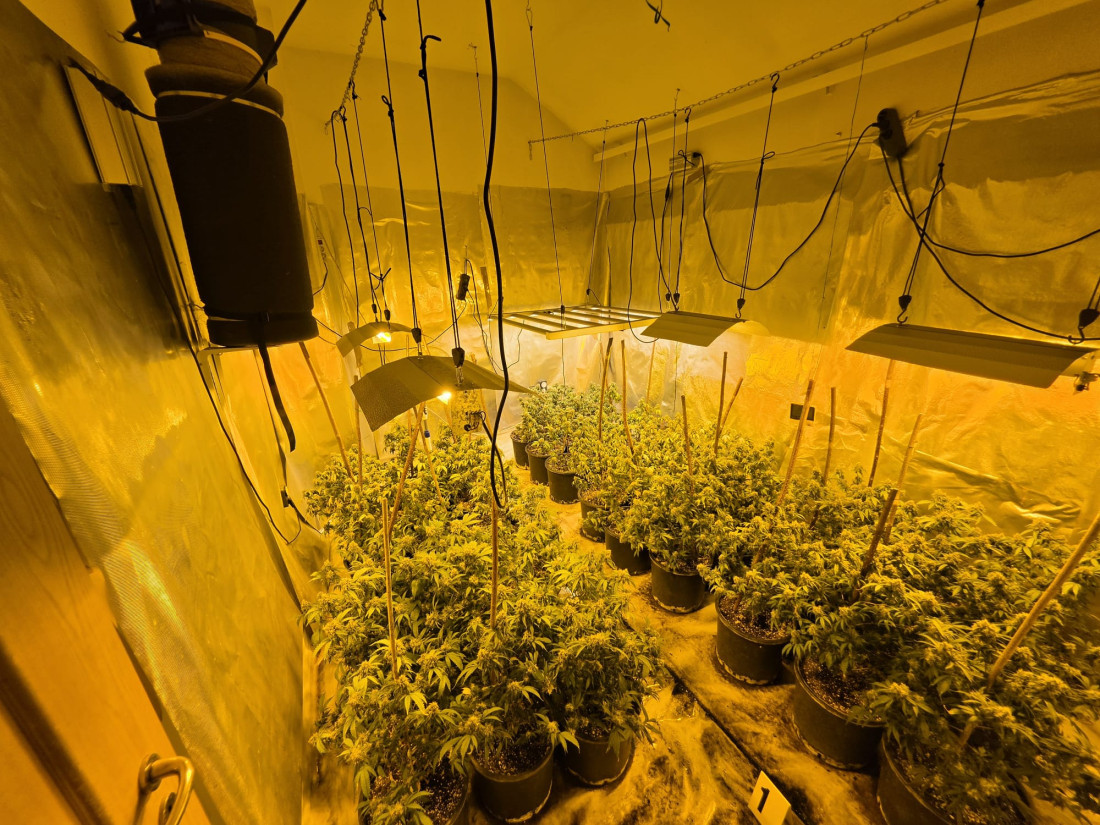 Predložen pritvora za Ilanu Begić Balen zbog neovlaštene proizvodnje i stavljanje u promet droga