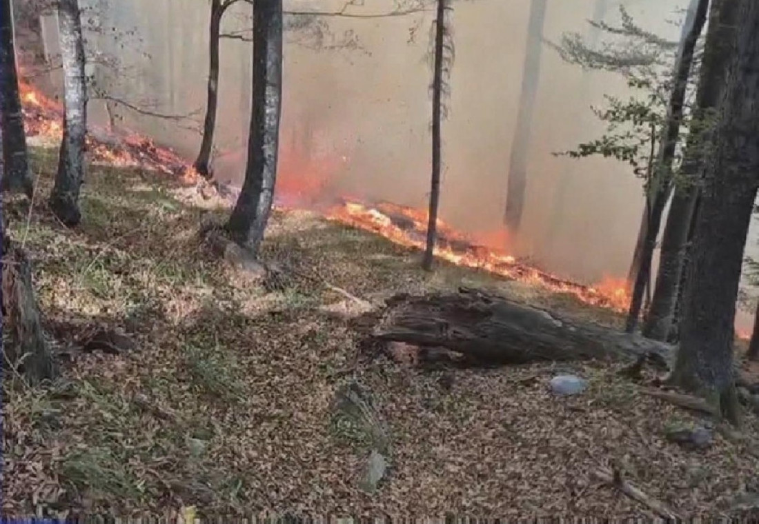 Požari već 12 dana haraju Krajinom: Vatrogasci i volonteri vode tešku borbu s vatrenom stihijom