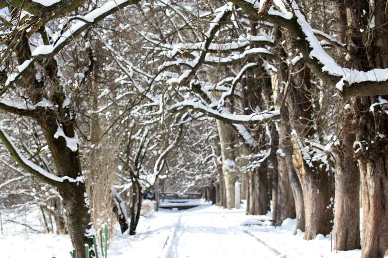 Terzimehić: Snijeg je prirodni rezervoar vode, regulator klime i važan faktor očuvanja ekosistema