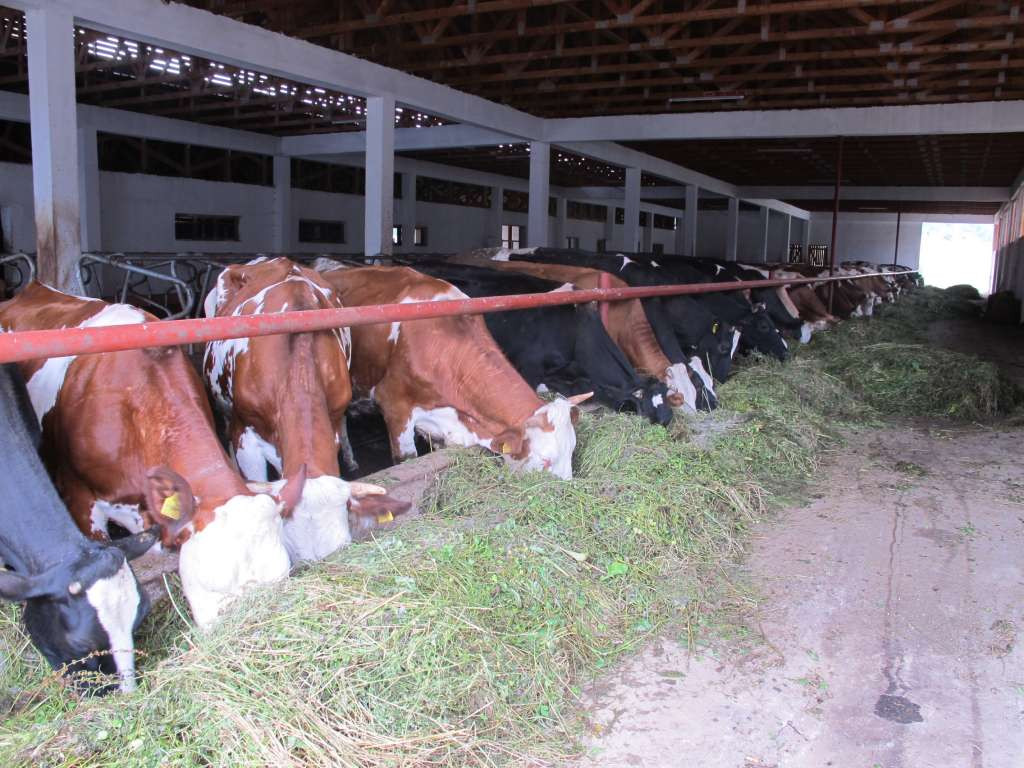 Mljekarska industrija BiH traži hitno razdvajanje biljnih i mliječnih proizvoda na tržištu