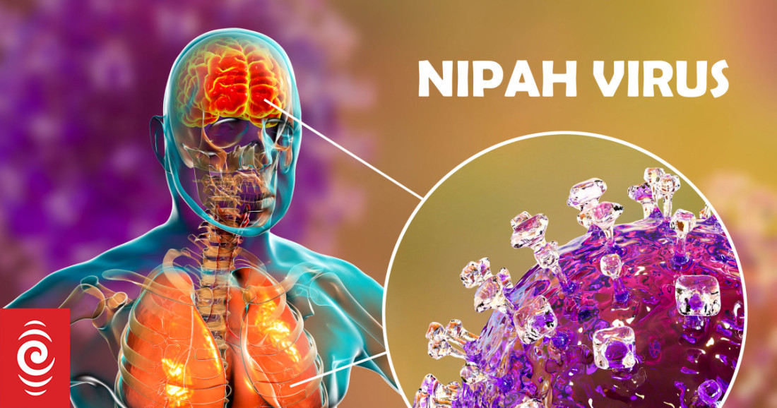 Trenutno nema zabilježenih slučajeva infekcije virusom Nipah u Evropi