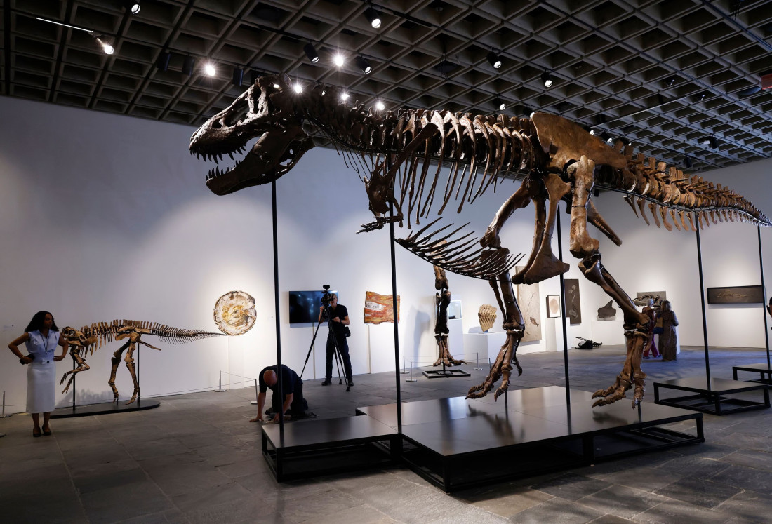 Jedan od najbolje očuvanih fosila T-Rexa prodat za 50 miliona dolara u New Yorku