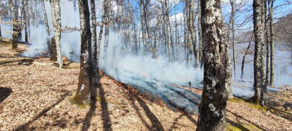 Požar većih razmjera u rejonu Žilića u goraždanskoj MZ Orahovice