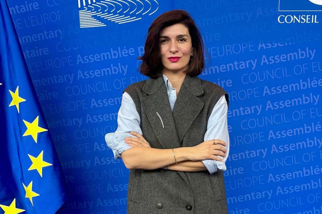 Ćudić iz Pariza: Borba protiv islamofobije je borba za samu ideju Evrope