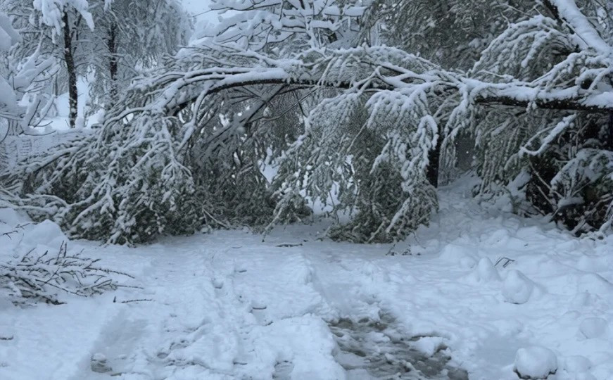 Krajina se oporavlja od nevremena: Dijelovi Velike Kladuše i Bihaća i dalje bez struje i vode, štete ogromne