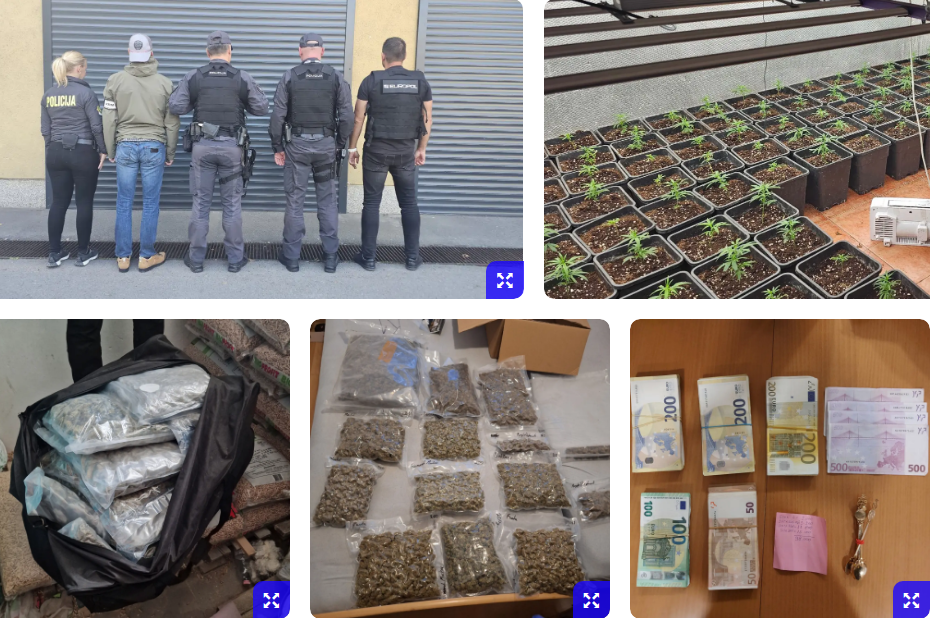 Gotovo 50 uhapšenih u velikoj akciji: Kriminalnu mrežu sa Zapadnog Balkana povezuju s ubistvima i otmicama
