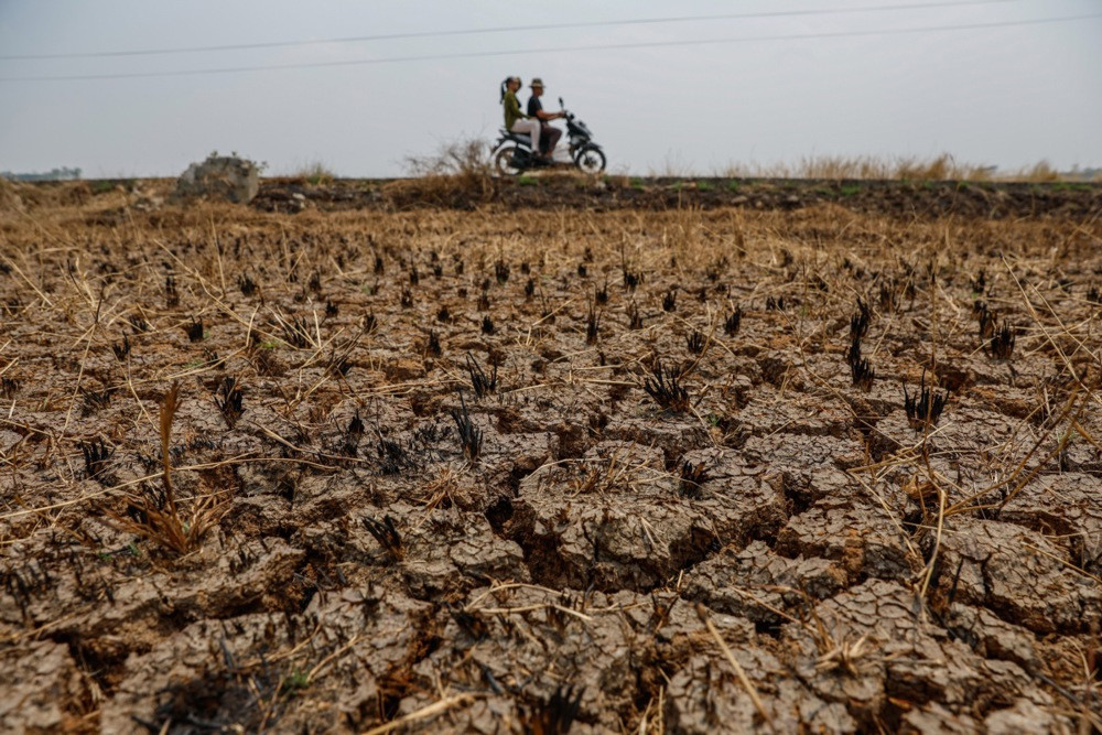 Japanska meteorološka služba: El Niño dostigao rekordan intenzitet