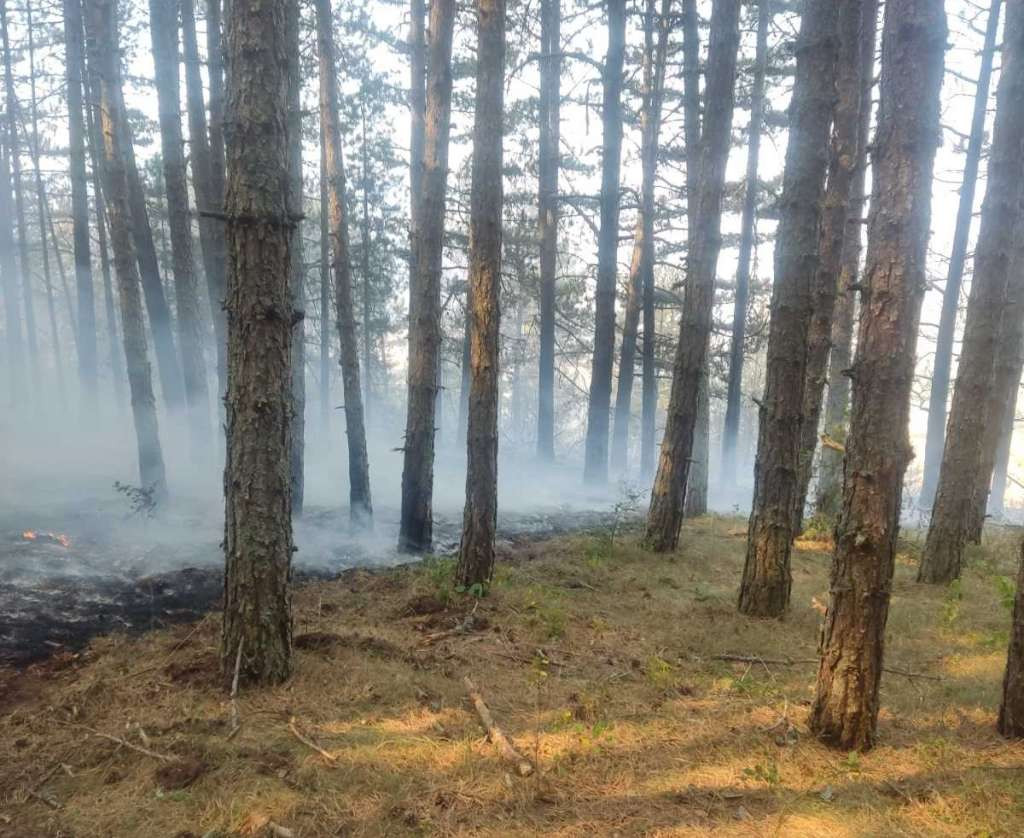 Požar na Čvrsnici i dalje aktivan, vatrogasci angažirani na gašenju