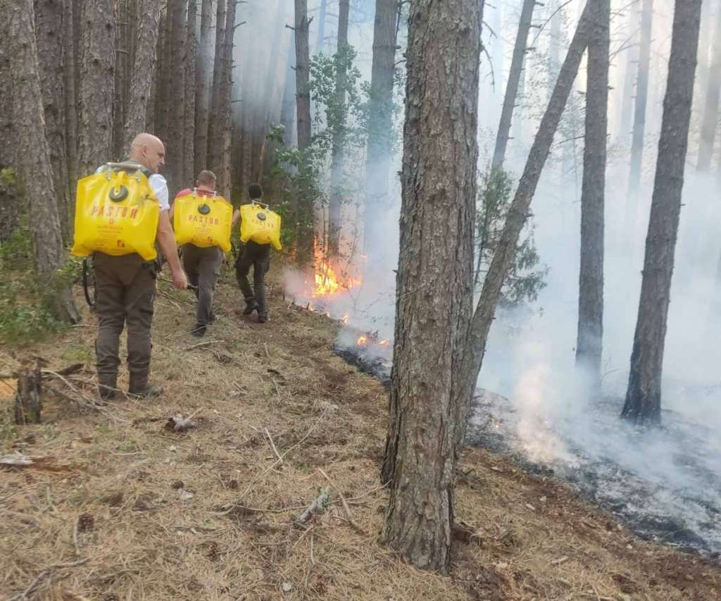 Požar u Drvaru pod kontrolom