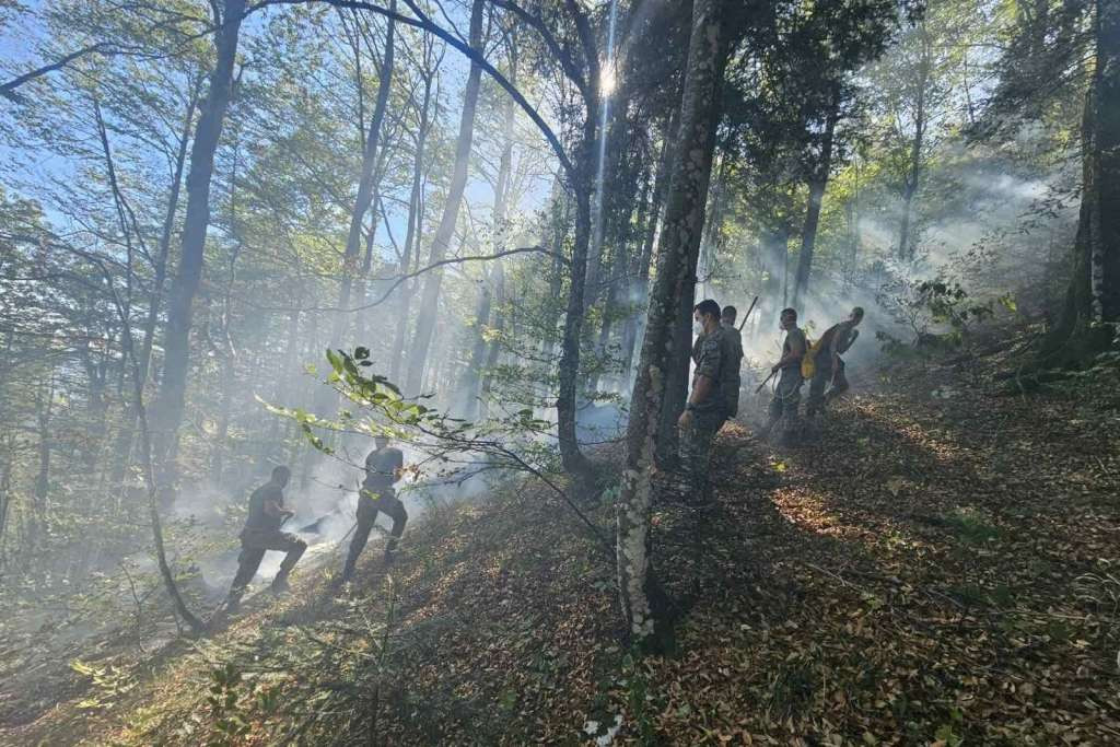 Resursima OS BiH stavljen pod kontrolu požar u općini Bihać