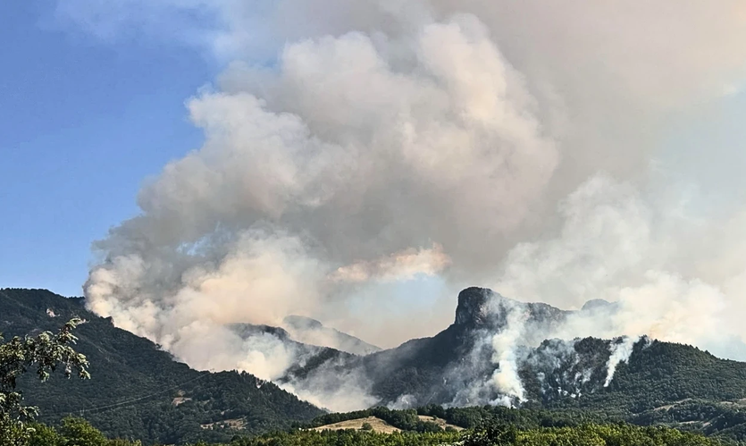 Veliki šumski požar između Nevesinja i Konjica izvan kontrole, gašenje otežava zahtjevan teren