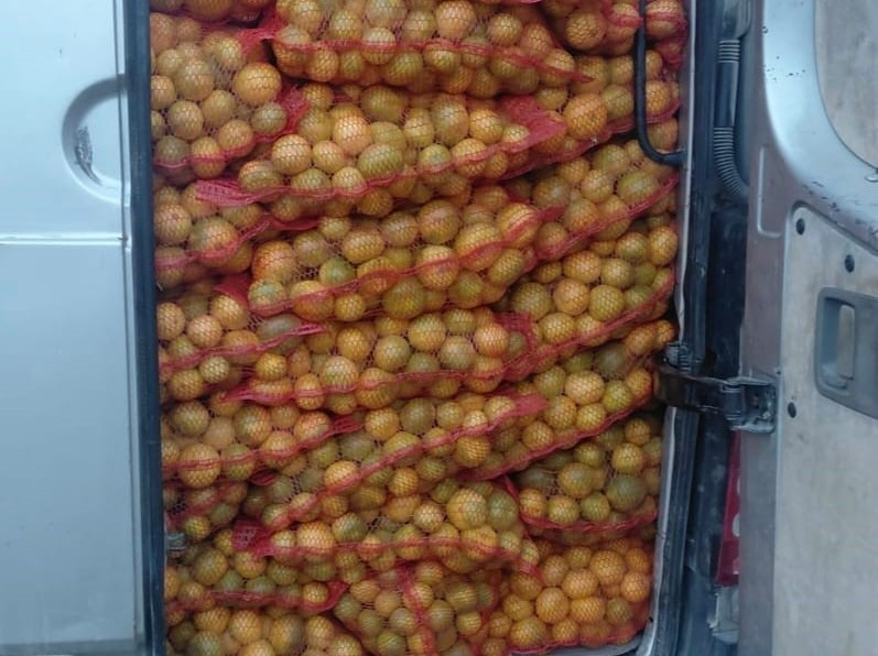 Pripadnici Granične policije BiH i Frontexa spriječili nezakonit promet 4.500 kilograma mandarina