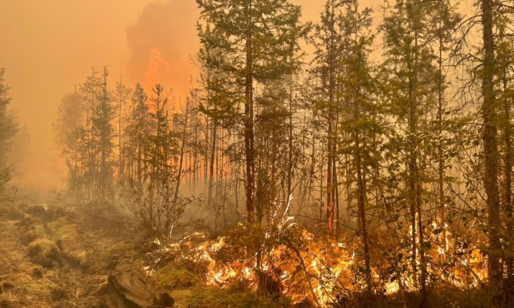 Rusija koristi klimatski inženjering u borbi protiv šumskih požara
